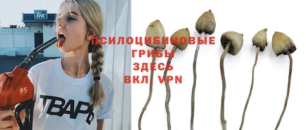 дмт Аркадак