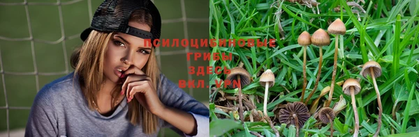 МДПВ Армянск