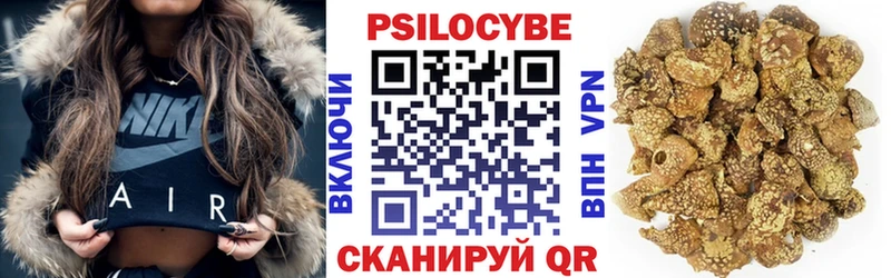 Псилоцибиновые грибы Psilocybe  продажа наркотиков  Фокино 